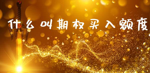 什么叫期权买入额度_https://wap.sdxiaoxijinshu.com_理财_第1张