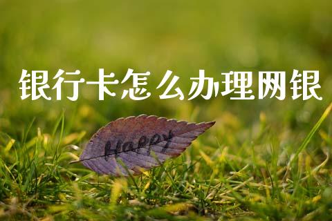 银行卡怎么办理网银_https://wap.sdxiaoxijinshu.com_理财_第1张