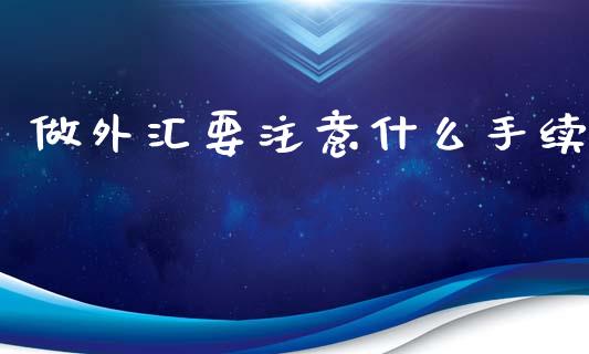 做外汇要注意什么手续_https://wap.sdxiaoxijinshu.com_财经_第1张