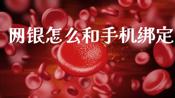 网银怎么和手机绑定_https://wap.sdxiaoxijinshu.com_金融_第1张