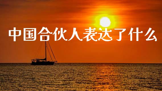 中国合伙人表达了什么_https://wap.sdxiaoxijinshu.com_财经_第1张