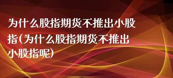 为什么股指期货不推出小股指(为什么股指期货不推出小股指呢)_https://wap.sdxiaoxijinshu.com_金融_第1张
