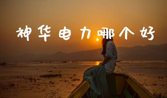 神华电力哪个好_https://wap.sdxiaoxijinshu.com_理财_第1张