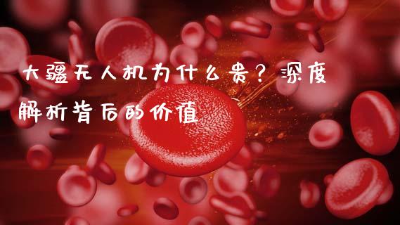 大疆无人机为什么贵？深度解析背后的价值_https://wap.sdxiaoxijinshu.com_期货_第1张