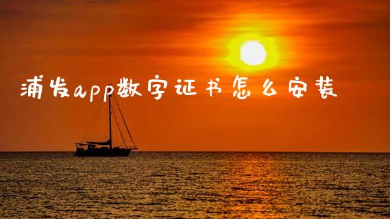 浦发app数字证书怎么安装_https://wap.sdxiaoxijinshu.com_金融_第1张