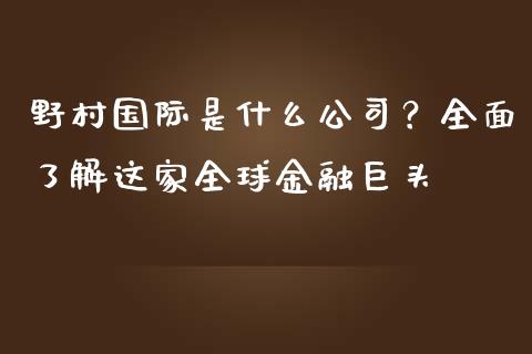 野村国际是什么公司？全面了解这家全球金融巨头_https://wap.sdxiaoxijinshu.com_金融_第1张