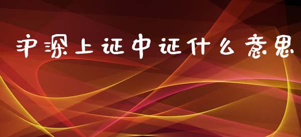 沪深上证中证什么意思_https://wap.sdxiaoxijinshu.com_期货_第1张