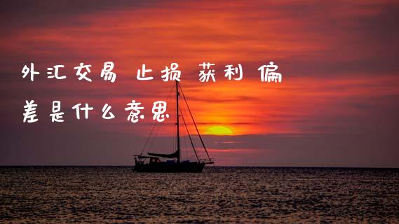 外汇交易 止损 获利 偏差是什么意思_https://wap.sdxiaoxijinshu.com_财经_第1张