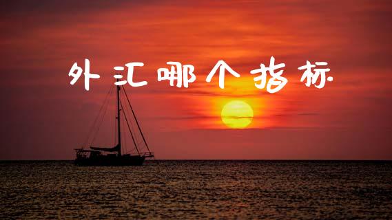 外汇哪个指标_https://wap.sdxiaoxijinshu.com_金融_第1张