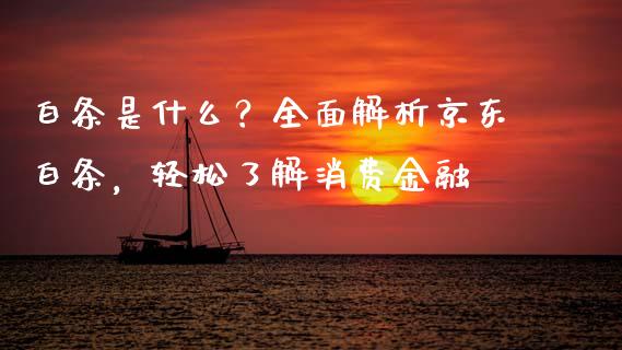 白条是什么？全面解析京东白条，轻松了解消费金融_https://wap.sdxiaoxijinshu.com_财经_第1张