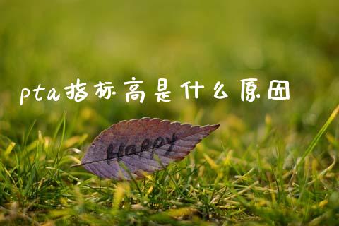 pta指标高是什么原因_https://wap.sdxiaoxijinshu.com_金融_第1张