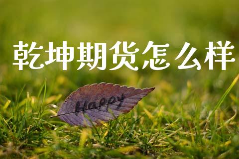 乾坤期货怎么样_https://wap.sdxiaoxijinshu.com_期货_第1张