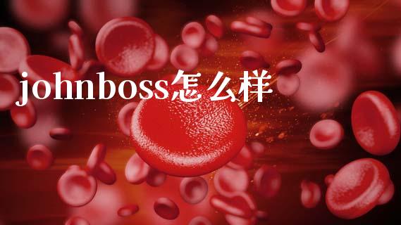 johnboss怎么样_https://wap.sdxiaoxijinshu.com_金融_第1张