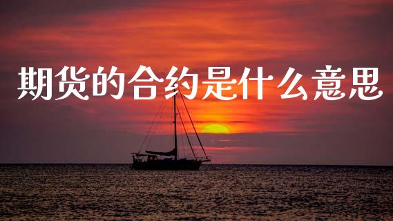 期货的合约是什么意思_https://wap.sdxiaoxijinshu.com_金融_第1张