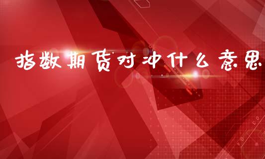 指数期货对冲什么意思_https://wap.sdxiaoxijinshu.com_期货_第1张