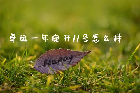 卓远一年定开11号怎么样_https://wap.sdxiaoxijinshu.com_金融_第1张