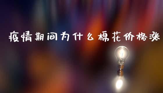 疫情期间为什么棉花价格涨_https://wap.sdxiaoxijinshu.com_期货_第1张