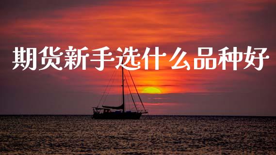 期货新手选什么品种好_https://wap.sdxiaoxijinshu.com_期货_第1张