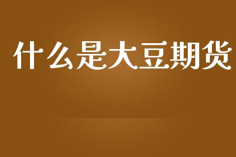 什么是大豆期货_https://wap.sdxiaoxijinshu.com_期货_第1张