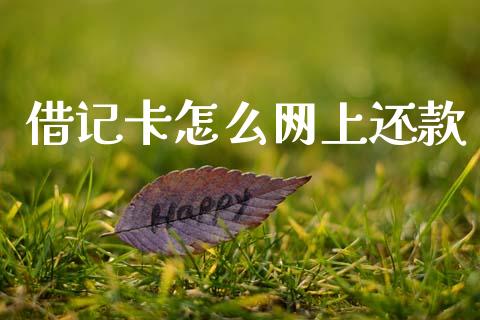 借记卡怎么网上还款_https://wap.sdxiaoxijinshu.com_金融_第1张