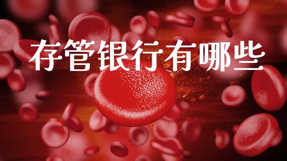 存管银行有哪些_https://wap.sdxiaoxijinshu.com_理财_第1张