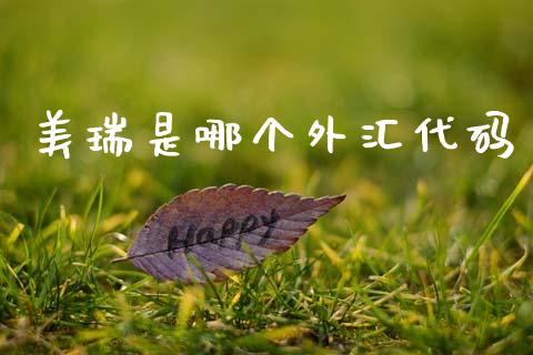 美瑞是哪个外汇代码_https://wap.sdxiaoxijinshu.com_财经_第1张