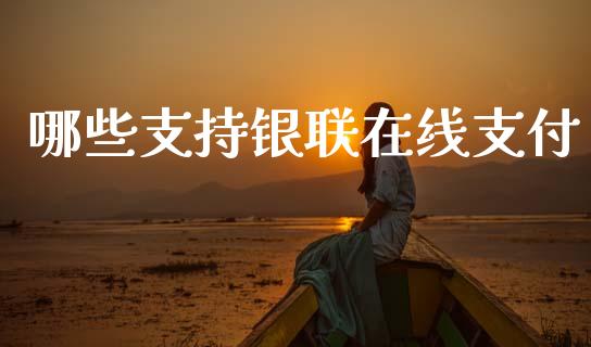 哪些支持银联在线支付_https://wap.sdxiaoxijinshu.com_理财_第1张