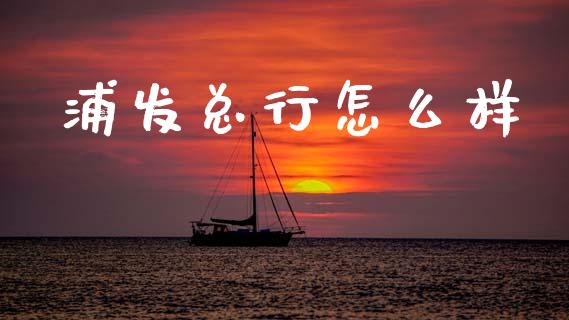 浦发总行怎么样_https://wap.sdxiaoxijinshu.com_金融_第1张