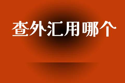 查外汇用哪个_https://wap.sdxiaoxijinshu.com_财经_第1张