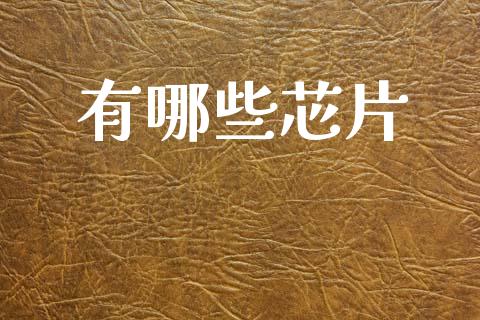 有哪些芯片_https://wap.sdxiaoxijinshu.com_财经_第1张