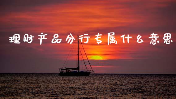 理财产品分行专属什么意思_https://wap.sdxiaoxijinshu.com_金融_第1张