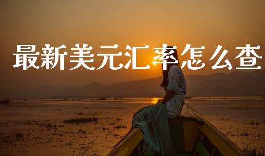 最新美元汇率怎么查_https://wap.sdxiaoxijinshu.com_财经_第1张