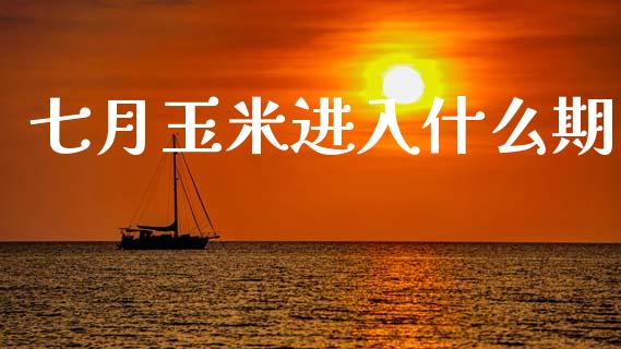 七月玉米进入什么期_https://wap.sdxiaoxijinshu.com_期货_第1张