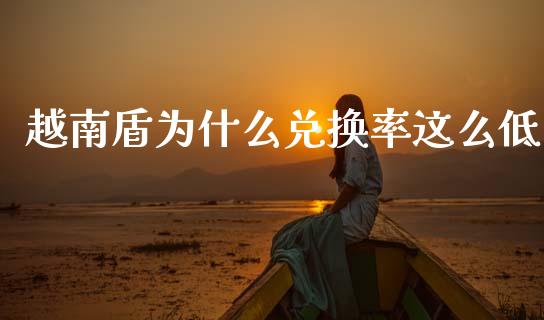 越南盾为什么兑换率这么低_https://wap.sdxiaoxijinshu.com_财经_第1张