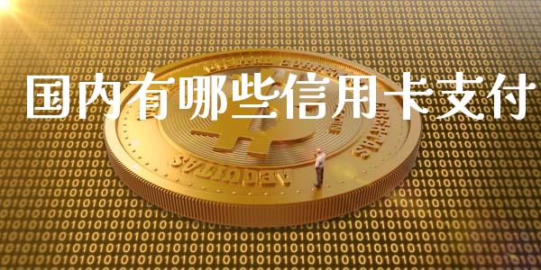 国内有哪些信用卡支付_https://wap.sdxiaoxijinshu.com_理财_第1张