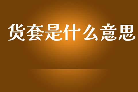 货套是什么意思_https://wap.sdxiaoxijinshu.com_期货_第1张