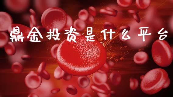 鼎金投资是什么平台_https://wap.sdxiaoxijinshu.com_期货_第1张