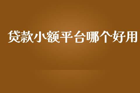 贷款小额平台哪个好用_https://wap.sdxiaoxijinshu.com_理财_第1张