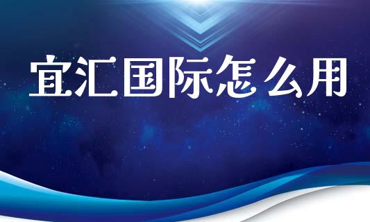 宜汇国际怎么用_https://wap.sdxiaoxijinshu.com_金融_第1张