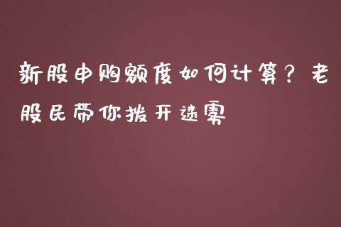 新股申购额度如何计算？老股民带你拨开迷雾_https://wap.sdxiaoxijinshu.com_金融_第1张