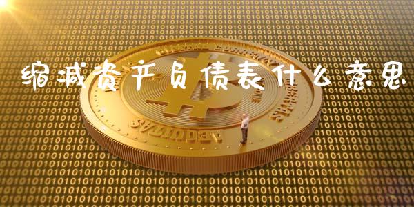 缩减资产负债表什么意思_https://wap.sdxiaoxijinshu.com_财经_第1张