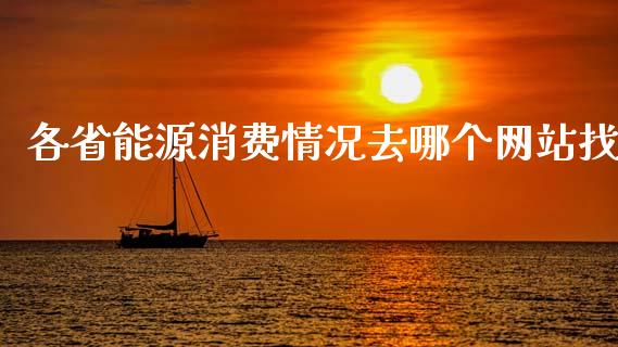 各省能源消费情况去哪个网站找_https://wap.sdxiaoxijinshu.com_财经_第1张