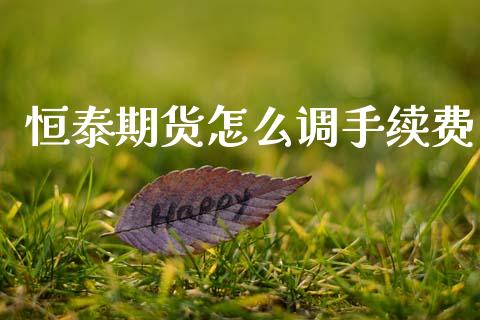 恒泰期货怎么调手续费_https://wap.sdxiaoxijinshu.com_期货_第1张